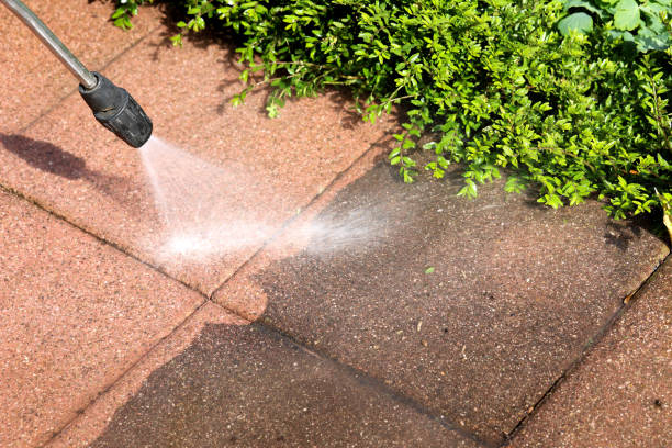 Best Power Washing Near Me  in Washington, WV